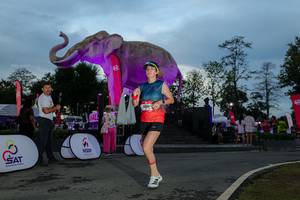 BIB: 
                            <button type="button" onclick="openModal(26529566)" class="btn btn-primary btn-sm float-right btn-popup" data-toggle="modal" data-target=".modal-high-quality">
                        <i class="fas fa-shopping-cart"></i> Add to Cart
                    </button>
                                            <button type="button" onclick="isThisMe(26529566, true)" class="btn btn-success btn-sm float-right btn-popup btn-isme hidden" data-toggle="tooltip" data-placement="bottom" title="นี่คือรูปของคุณใช่ไหม คลิกที่นี่เพื่อเอาเข้าอัลบั้ม">
                        <i class="fas fa-plus"></i> Add to album
                    </button>
                    <button type="button" onclick="isThisMe(26529566, false)" class="btn btn-warning btn-sm float-right btn-popup btn-isnotme hidden">
                        <i class="fas fa-ban"></i> Remove from album
                    </button>